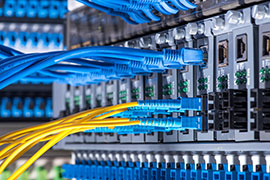 Avaya & Nortel Switch Management